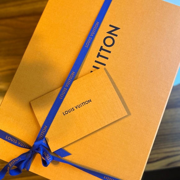 ✨RARE✨ pouch insert for the Louis Vuitton Carry All PM in Latte/Chamallow - Picture 10 of 15